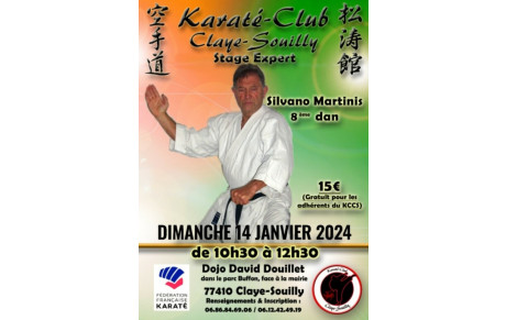 STAGE SYLVAIN MARTINIS 8ème DAN